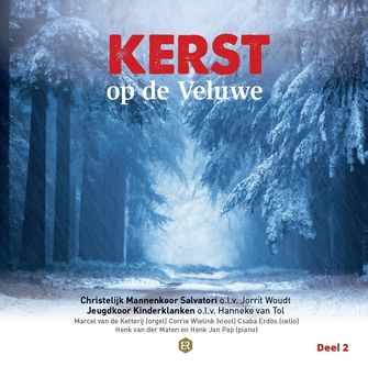 kerst op de veluwe deel 2_bestelmuziek.nu - salvatori nunspeet.jpg